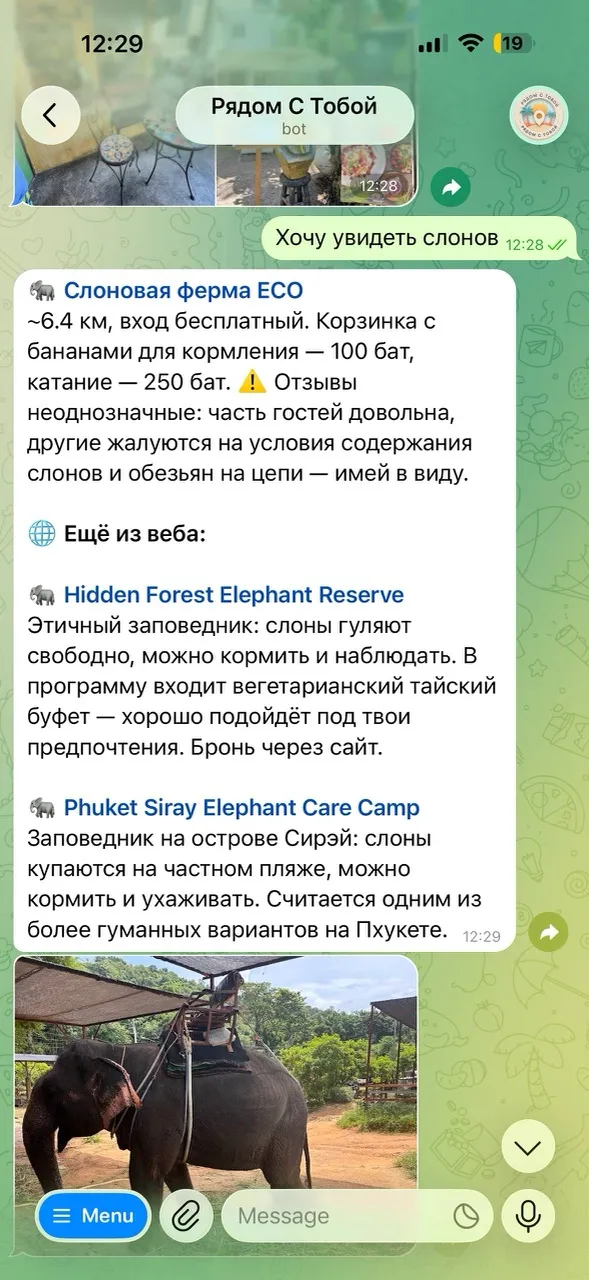Переписка с next2you в Telegram